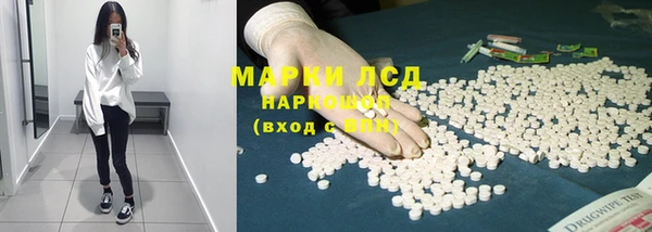MESCALINE Елизово