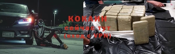 гашик Заводоуковск
