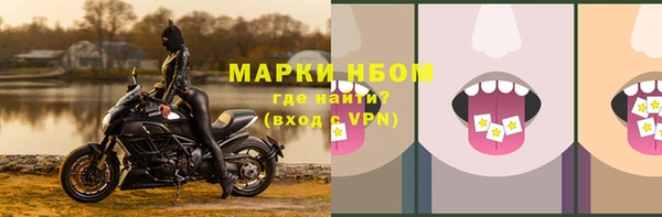 гашик Заводоуковск