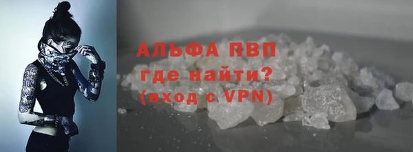 гашик Заводоуковск