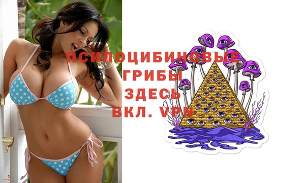 MESCALINE Елизово