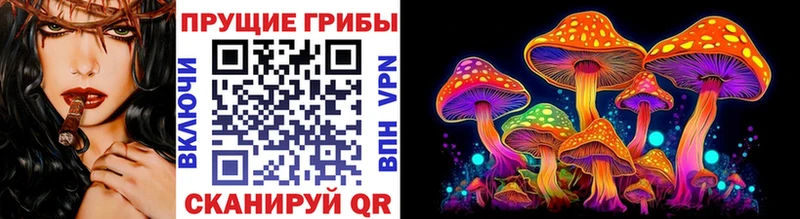 Псилоцибиновые грибы Psilocybine cubensis  ссылка на мегу как зайти  Сковородино 
